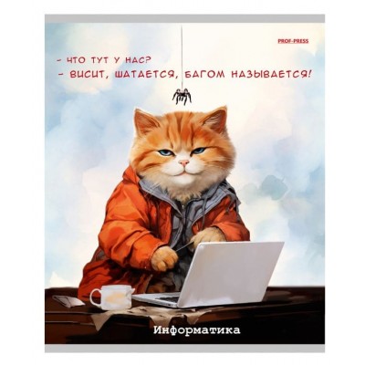 Тетрадь КЛЕТКА 48л. ИНФОРМАТИКА «ЖИЛ БЫЛ КОТ» (Т48-2317) стандарт, б/о TM Prof-Press Т48-2317