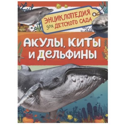 Энциклопедия для детского сада Клюшник Л. В. Акулы, киты и дельфины (Энциклопедия для детского сада) Росмэн 9785353102847