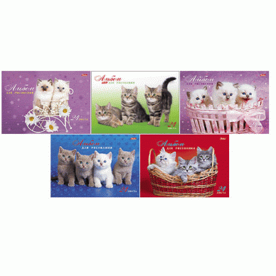 Альбом для рисования 24л А4 на спирали Hatber Милые котята перфорация отрыв Хатбер 153071