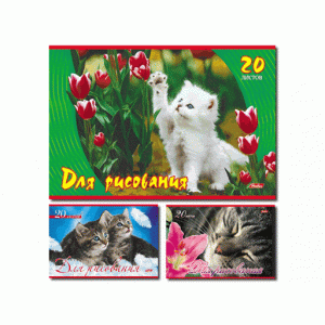 Альбом для рисования 20л HATBER обл мел карт 100г/м Котята 097715