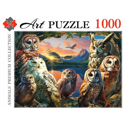 ПАЗЛЫ Artpuzzle 1000 элементов.ВЕЧЕРНИЕ СОВЫ (Арт. Ф1000-0456)