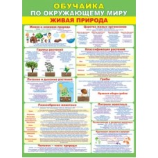 Плакат А2 ОБУЧАЙКА ПО ОКРУЖАЮЩЕМУ МИРУ 0-02-491А