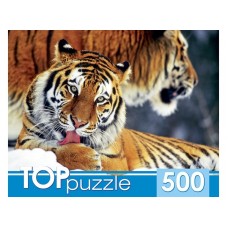 TOPpuzzle. ПАЗЛЫ 500 элементов. КБТП500-6797 Два тигра
