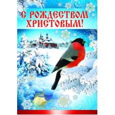 ПЛ-8212 плакат А3. С Рождеством Христовым! / А3 изд-во: Сфера авт:4+1