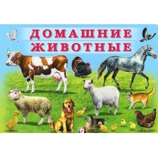 УМ.Домашние животные, изд.: Фламинго, серия.: Серия "Учим малыша" 9785783329470