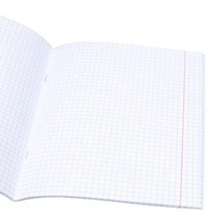 Тетрадь КЛЕТКА 48л. НАТЮРМОРТЫ твин-лак, цвет.мелов.обл. 48-3919