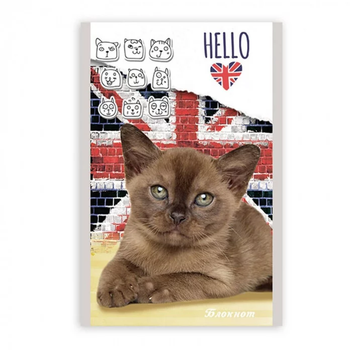 Блокнот 32л А7 "Котята и британский флаг" Б32-3130